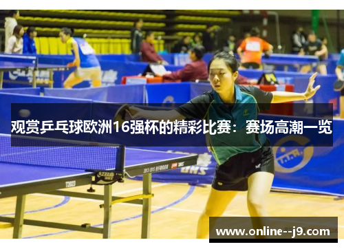 观赏乒乓球欧洲16强杯的精彩比赛：赛场高潮一览