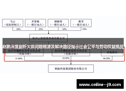 赵鹏深度剖析欠薪问题根源及解决路径揭示社会公平与劳动权益挑战