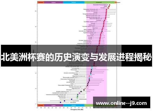 北美洲杯赛的历史演变与发展进程揭秘 北美洲杯赛的历史演变与发展进程揭秘