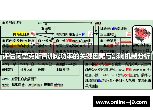 评估阿贾克斯青训成功率的关键因素与影响机制分析