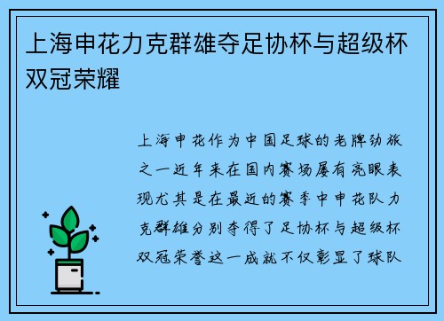 上海申花力克群雄夺足协杯与超级杯双冠荣耀 上海申花力克群雄夺足协杯与超级杯双冠荣耀
