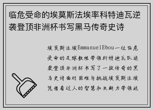临危受命的埃莫斯法埃率科特迪瓦逆袭登顶非洲杯书写黑马传奇史诗